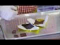 Inside a bean-to-bar chocolate factory