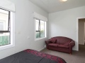 Petone - Starter In Petone - -