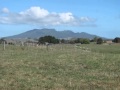 Raglan - Ticks Every Box - -