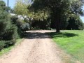 Blayney - Traditional Country Charmer - -