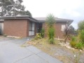 Carrum Downs - Ideally Situated 3 Bedroom Home  -  -