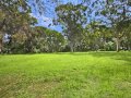 Belmont - Listen To The Birds With Options Galore - -