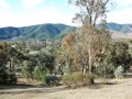 Myrtleford - The View Says It All  -  -