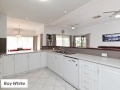 Swan View - King Of The Castle!!!  -  -