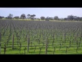 Nagambie - Hughes Creek Vineyard  -  -