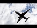 Baggage handler locked in plane&#039;s cargo bay