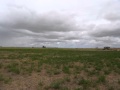 Tintinara - Needs To Be Sold - Reduced - Offers ... -
