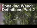 Know more weed words