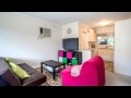 Forest Hill - Perfect Starter  -  -