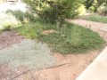 Broken Hill - Large Family Home With Granny Flat!  -  -