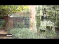 Buxton St Kilda Presents 1/16-20 Milton Street Elwood