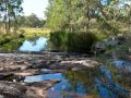 Dalveen - Owner Purchased Elsewhere - -