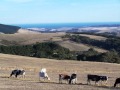 Parawa - Your Own Parcel Of Paradise!  -  -