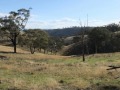 Owner Committed Elsewhere & Instructs Us To Just Sell ...
