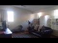 Cannonvale - Modern Executive Home, Low Maintenance, ...