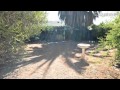 Elizabeth Downs - Great Character Property, Long Term ...