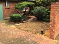 Queenstown - Beautifully Renovated 2 Bedroom Unit In ...