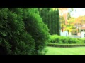 57 Hull Road Beecroft 2119 NSW