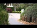 Stephen Prime Profile Video