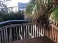 Bucklands Beach - Water Included In Rent & Gardener!!