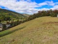 Arrowtown - Arrowtown&#039;s Premium Half Acre Section  -  -