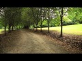 225 Wildes Meadow Road Wildes Meadow 2577 NSW