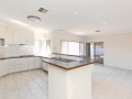Rivervale - End The Space Race Here!  -  -