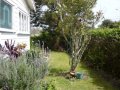 How About This One? $10,000 Reduction........ - -