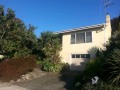 Te Awamutu - Polish This Gem! - -