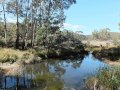 Wisemans Creek - Timberlands Idyllic Mountain ... -
