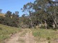 Owners Committed Elsewhere & Instructs Us To Just Sell ...