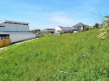 Mount Pleasant - Buyer Enquiry Over $259,000  -  -