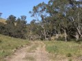 Owners Committed Elsewhere & Instructs Us To Just Sell ...