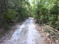 Jubilee Pocket - Sea View Rainforest Block  -  -