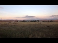 Cambooya - Ultimate 10 Acre Lifestyle Property - ... -