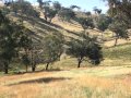 &#039;The Ranch 250 Beautiful Acres - Vendors Are  ... -  -