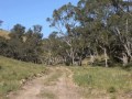 Owners Committed Elsewhere & Instructs Us To Just Sell ...