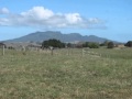 Raglan - Ticks Every Box - -