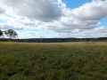 Angus Park - -