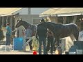 Kentucky Derby&#039;s unsung heroes